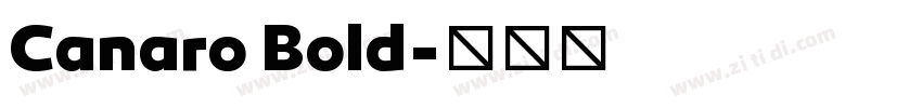 Canaro Bold字体转换